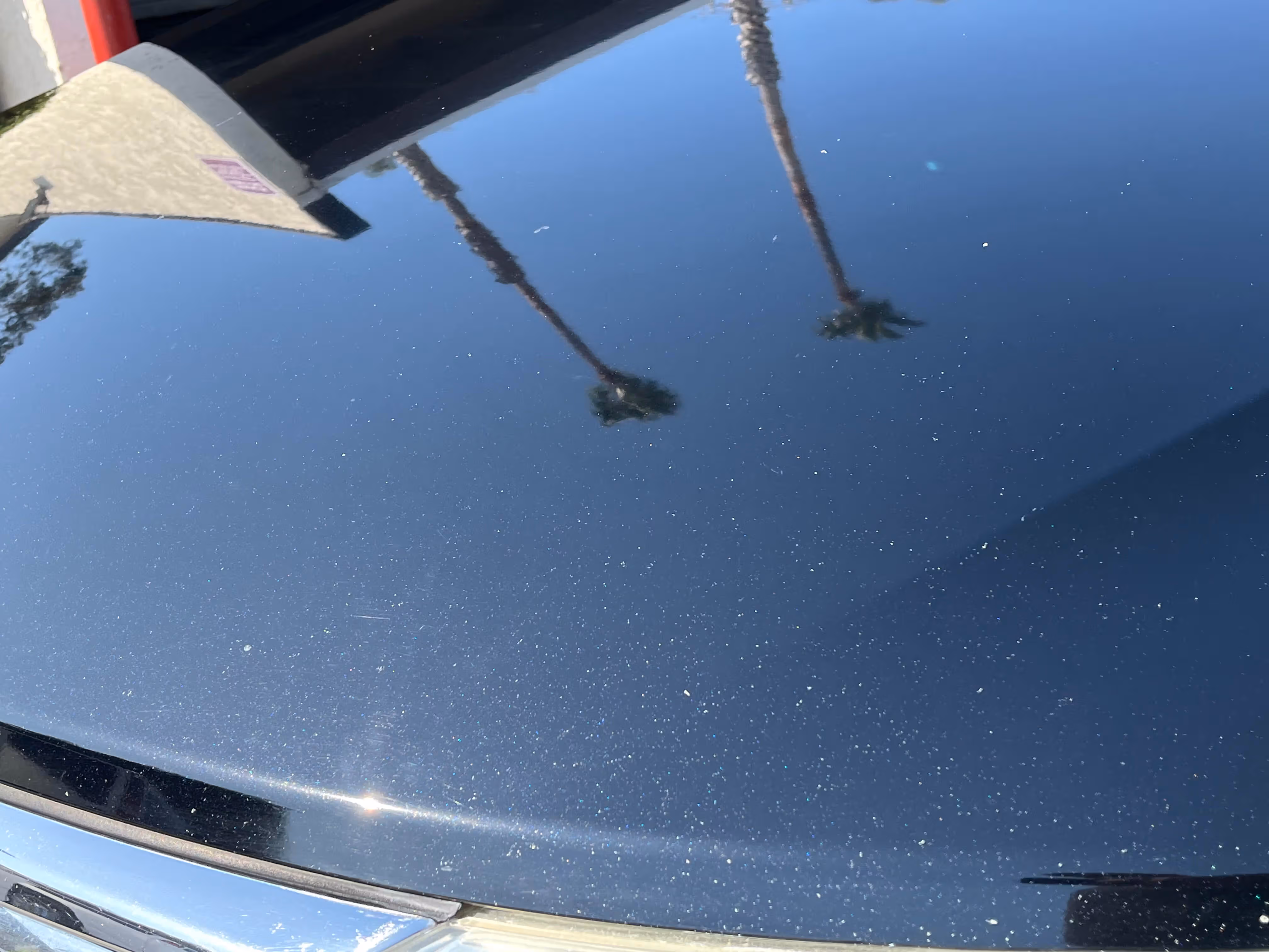 Black car hood with dust, reflecting a nearby building and two tall palm trees.